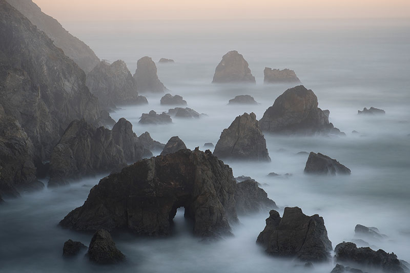 Bodega Head Photos