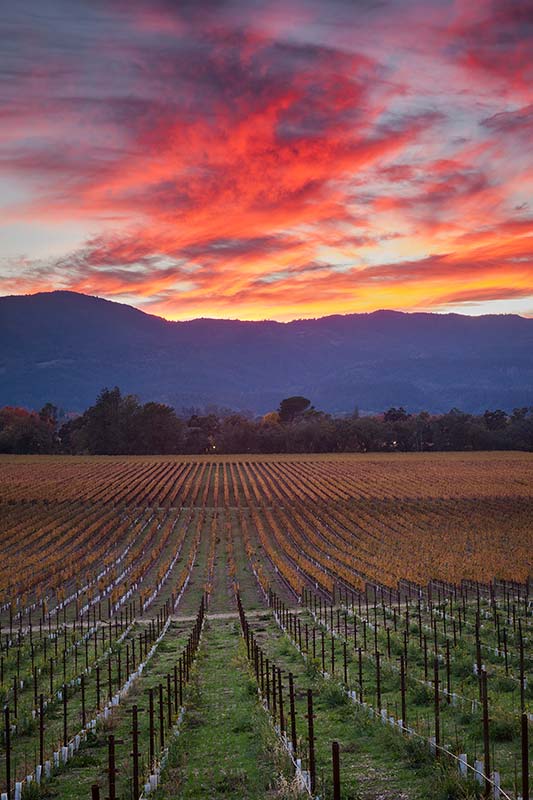 Fall Sunset Over Napa Valley, California